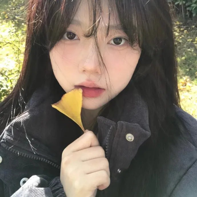 加菲猫的幸福生活第一季